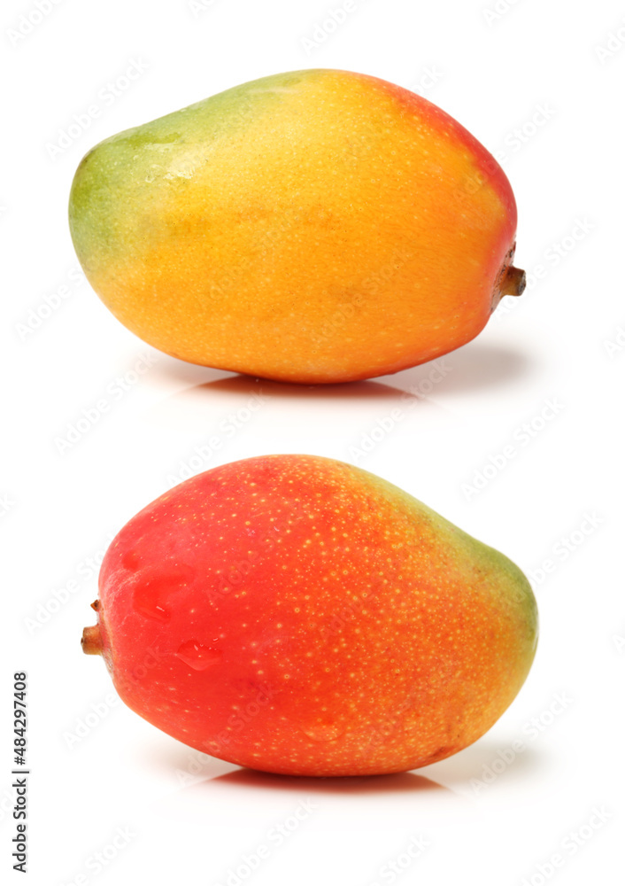 mango isolated on white background mango isolated on white background