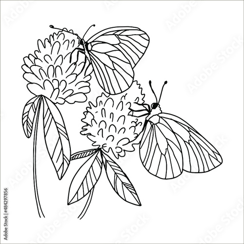 Vector illustration of a linear doodle drawing of graceful beautiful summer flowers with butterflies