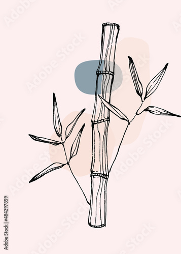 
Bamboo botanical wall art vector. Indian cane boho line art drawing sketch with abstract shape. Illustration background plant art design for wallpaper, print, cover, minimal, natural wall art.