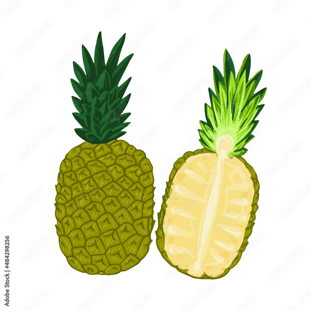 vector illustration fruit delicious juicy pineapple vector illustration fruit delicious juicy pineapple