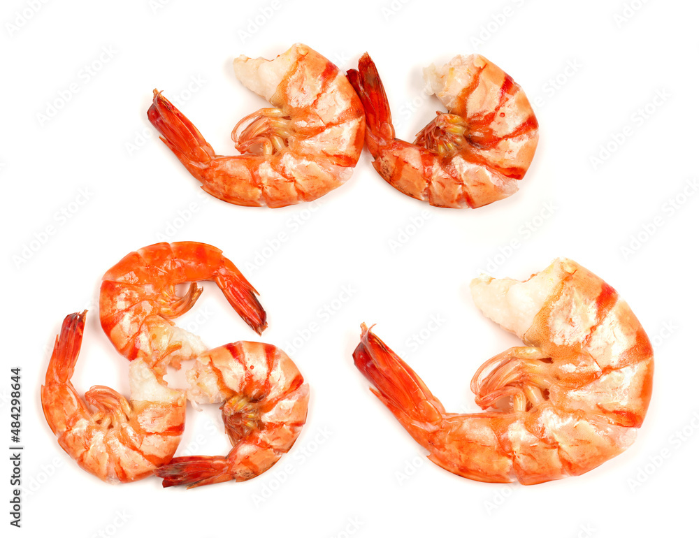 shrimps on a white background shrimps on a white background