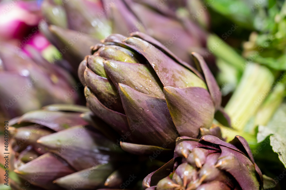 Harvest of young Romanesco artichoke heads on sale at city market in Florence Harvest of young Romanesco artichoke heads on sale at city market in Florence