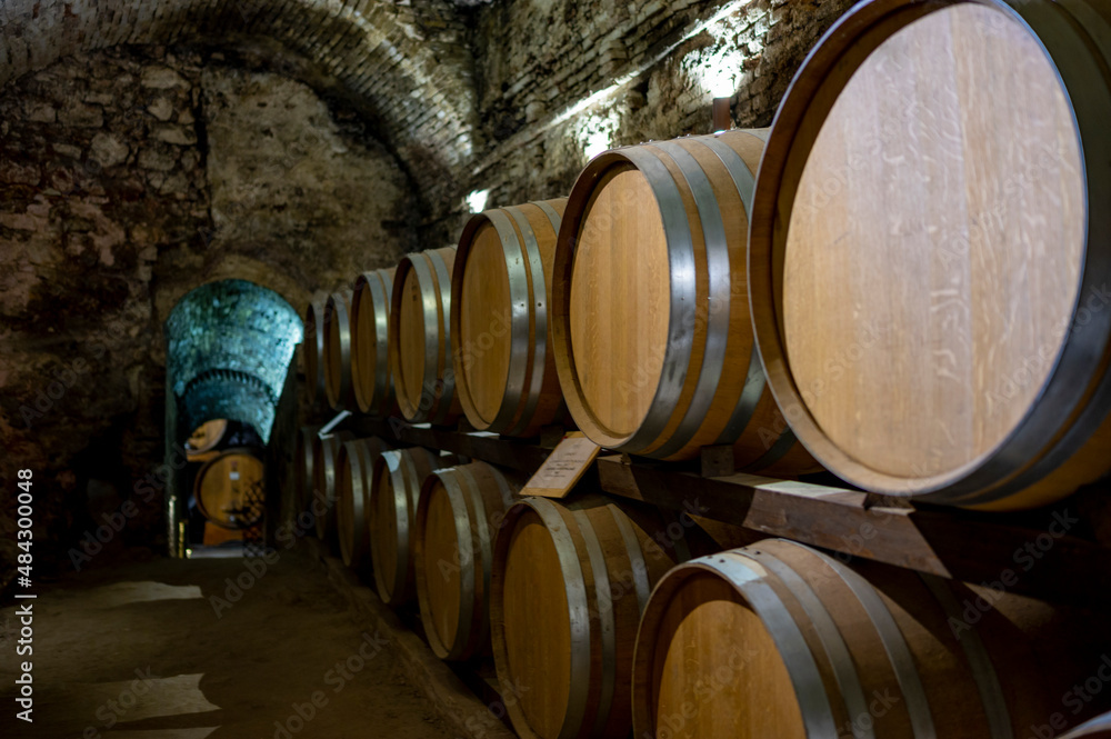 Medieval underground wine cellars with old red wine barrels for aging of vino nobile di Montepulciano in old town Montepulciano in Tuscany, Italy