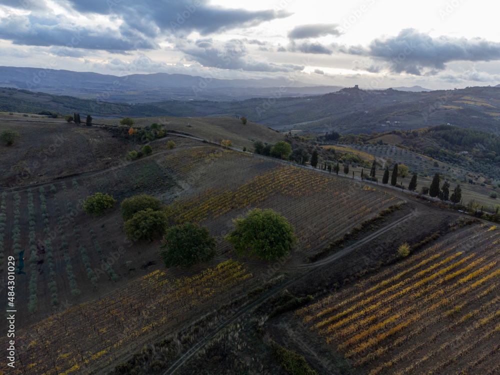 Naklejka premium View on hills of Val d'Orcia near Bagno Vignoni, Tuscany, Italy. Tuscan landscape with cypress trees, vineyards, forests and ploughed fields in autumn.