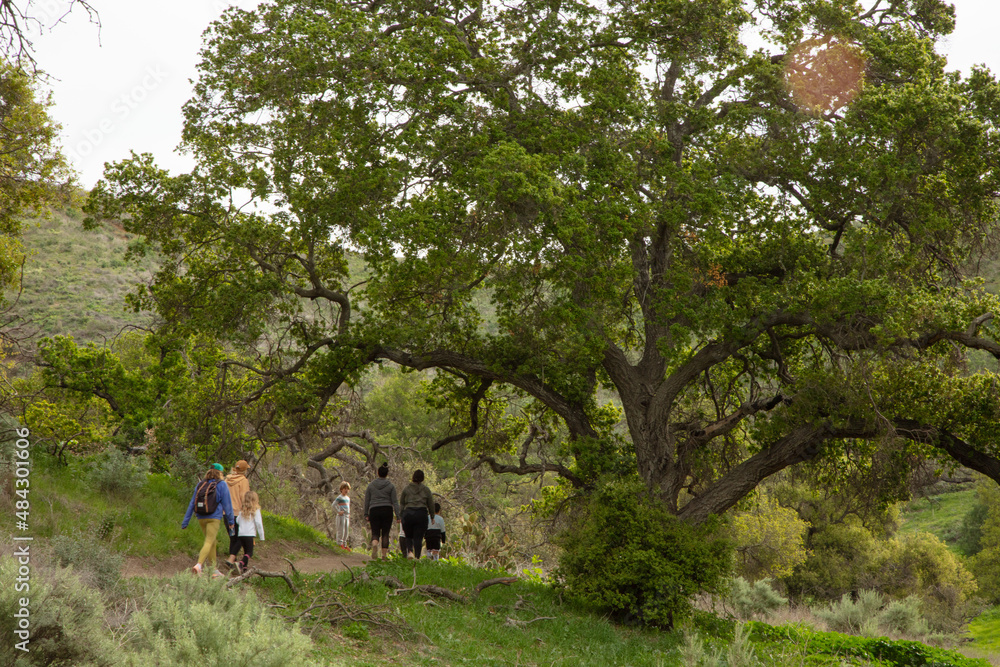 Trail Adventures (Hiking, Mountain Bikes, Dogs, Walking)