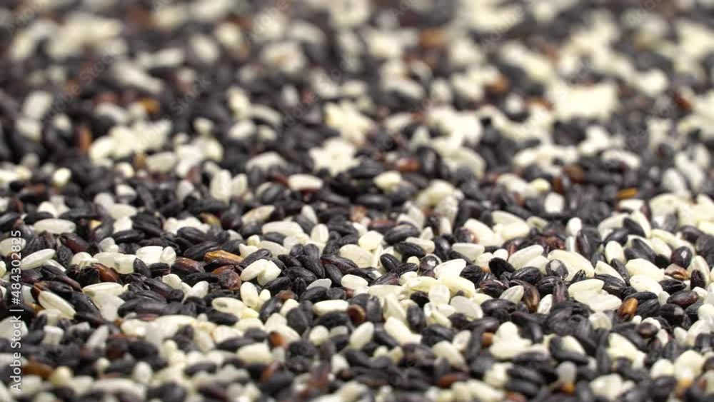 Brown and white rice seeds rotation background. Close up Brown and white rice seeds rotation background. Close up