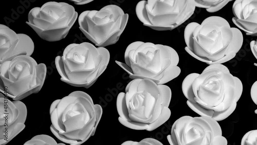 White decorative roses on a black plate, rotation  background. Close up