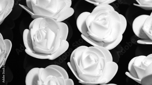 White decorative roses on a black plate, rotation  background. Close up