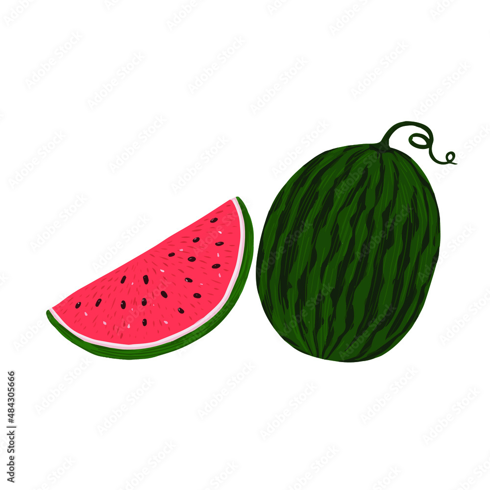 vector illustration fruit delicious juicy watermelon vector illustration fruit delicious juicy watermelon