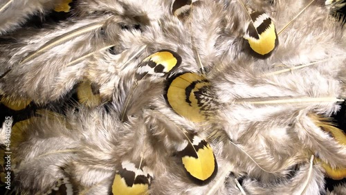Mottled feathers rotation background. Close up