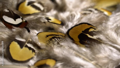 Mottled feathers rotation background. Close up