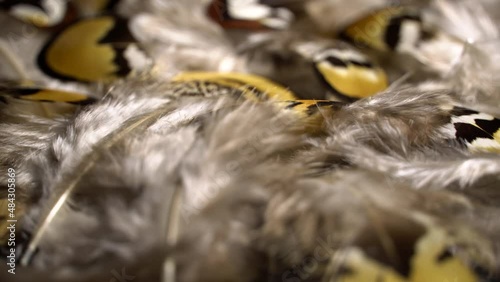 Mottled feathers rotation background. Close up