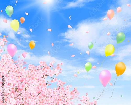 爽やかな光差し込む青空に美しく華やかな花びら舞い散る春の桜と風船の飛ぶ白バックフレーム背景素材