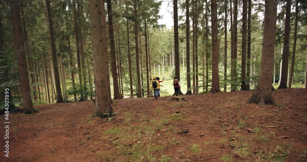 Friends running toward a forest
clearing Friends running toward a forest
clearing
