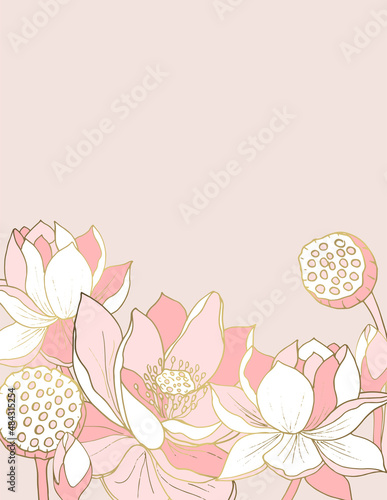 Luxurious white and pink lotus flowers for background, banners, posters, covers, greeting cards. Vector illustration.