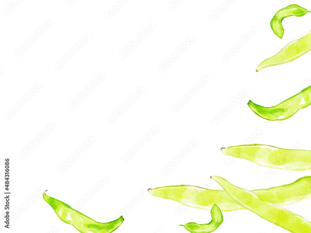 手描き水彩のモロッコインゲンイラスト長方形フレーム・右下 Stock Illustration | Adobe Stock