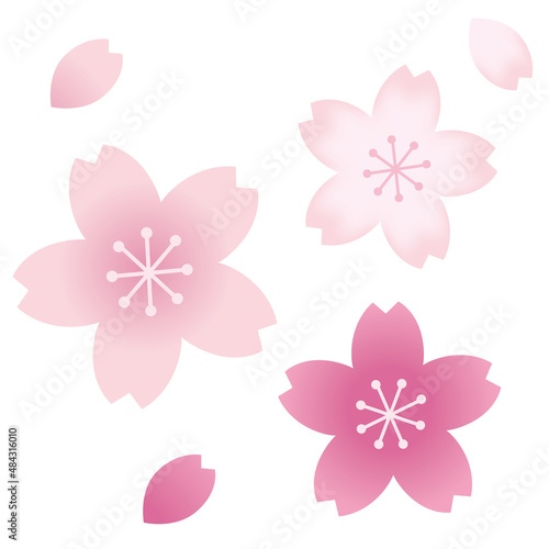 桜のモチーフセット