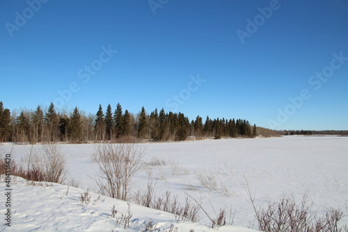 Wallpaper Mural winter landscape with trees and snow, Elk Island National Park, Alberta Torontodigital.ca
