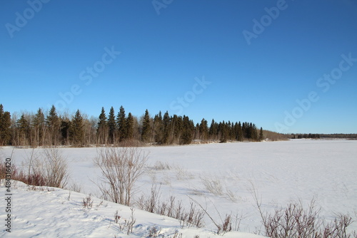 winter landscape with trees and snow  Elk Island National Park  Alberta