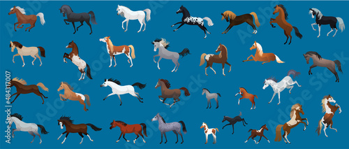 Collection set of flat horses. Checkered drawing. Different breeds of horses. Vector illustration.