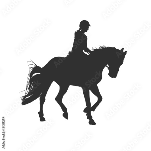 Silhouette rider on horse