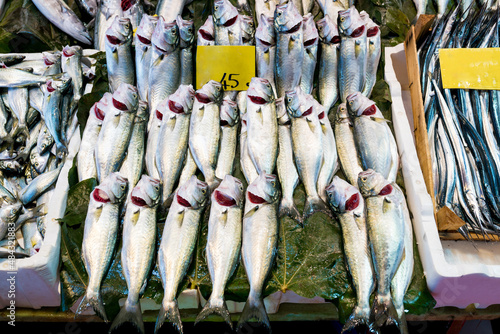 Fresh fish display on local turkish retail store. Seafood stored directly on ice on the most central fish market of city in Istanbul