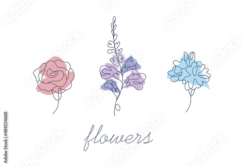 A collection of minimalistic flower emblems drawn with a single line. Stylish elegant logos in outline, with a color spot. Flowers from a bouquet, rose, delphinium, hydrangea.