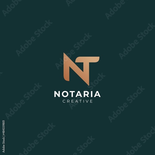 modern luxury geometry lettering logo NT