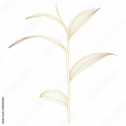 Beautiful exotic golden branch with leaf Silhouette isolate on white background.  © Iuliia