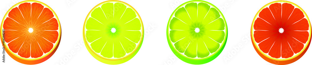 Set of vector illustration of citrus fruits. Lime, orange, lemon and grapefruit, isolated on the white background.
Set of vector illustration of citrus fruits. Lime, orange, lemon and grapefruit, isolated on the white background.