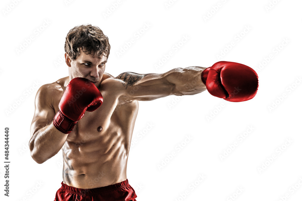 Studio shot of athlete boxer who training, practicing jab on white background in Red gloves  - obrazy, fototapety, plakaty 