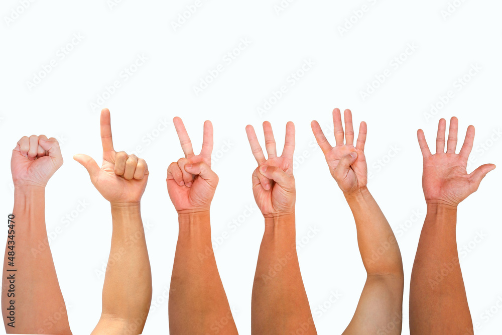 Set of men's hands symbolizing invisible objects isolated on white. Set of men's hands symbolizing invisible objects isolated on white.