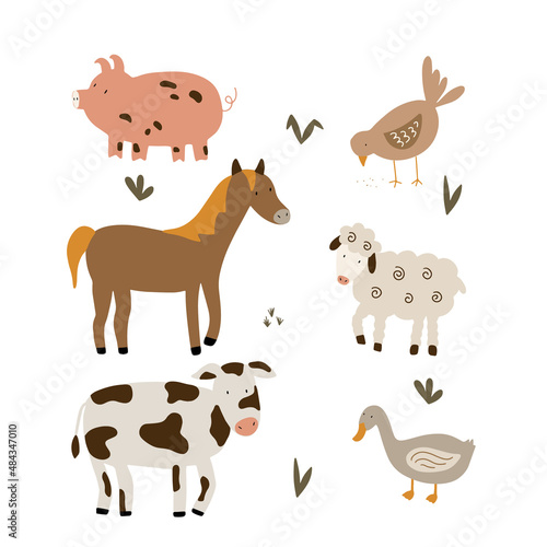 Farm animals set in flat style isolated on white background. Vector illustration. Collection of cute animals: sheep, cow, horse, pig, goose, chicken