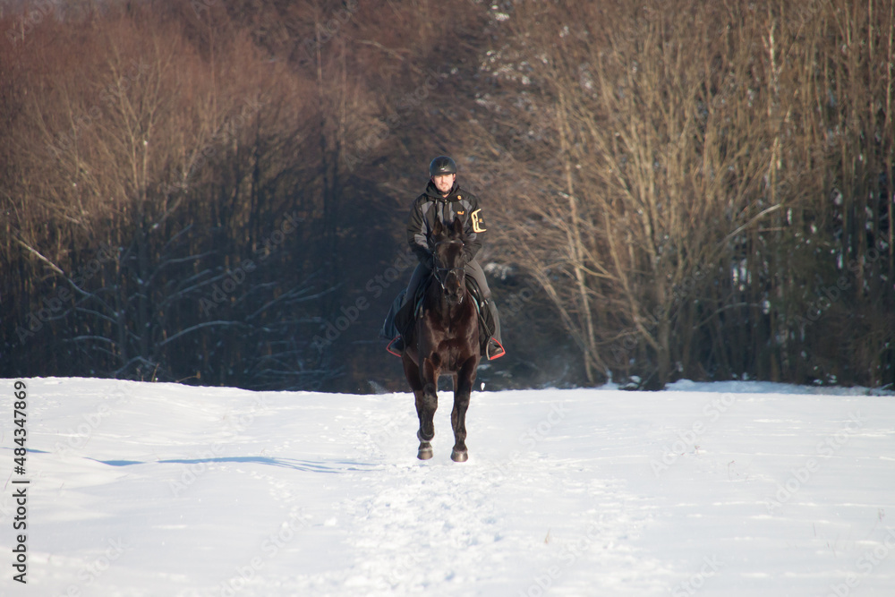Reiter galoppiert auf schwarzem Pferd einen Weg im Schnee frontal in der Sonne vor einem Wald den Weg hoch und freut sich