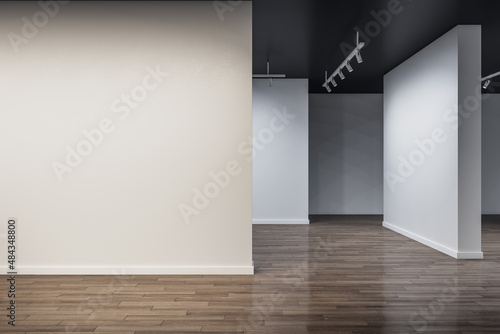 Fototapeta Naklejka Na Ścianę i Meble -  Contemporary concrete exhibition hall interior with mock up place on wall and wooden flooring with reflections. Art and museum concept. 3D Rendering.