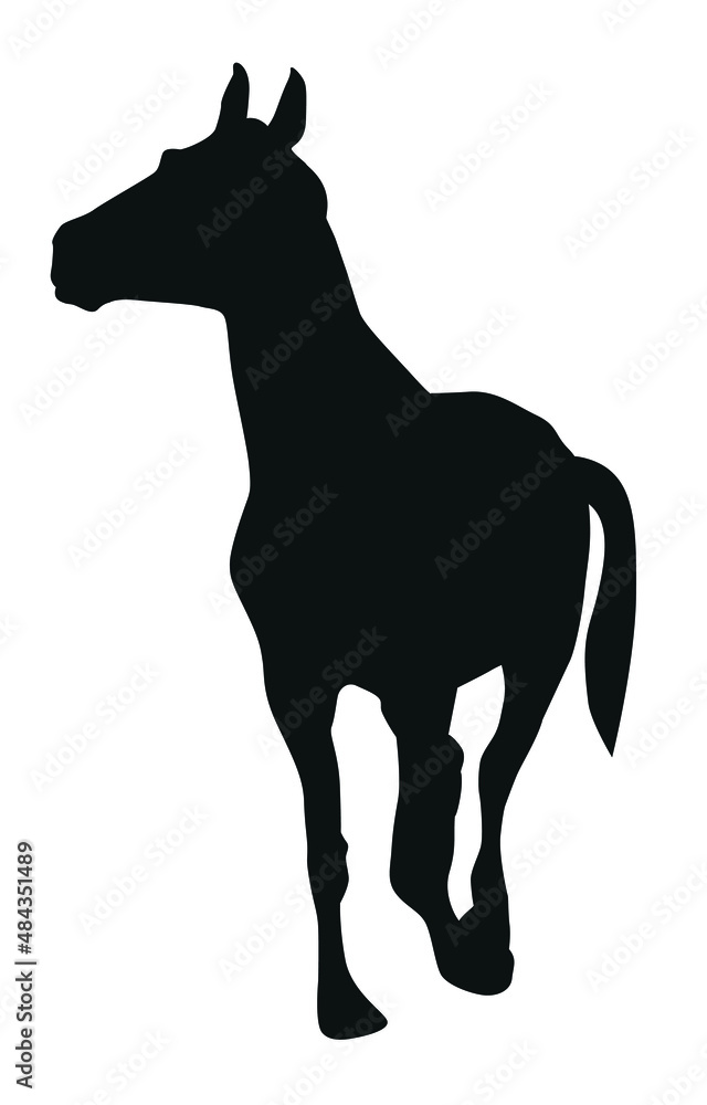 Silhouette of a walking horse with its front leg raised Silhouette of a walking horse with its front leg raised