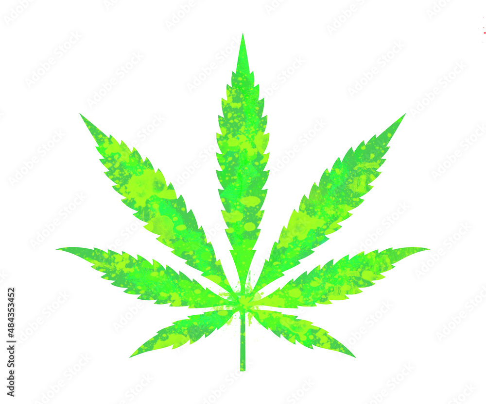 cannabis leaf, watercolor weed leaf, Hemp, marijuana, Ganja, Gaja leaf on white background cannabis leaf, watercolor weed leaf, Hemp, marijuana, Ganja, Gaja leaf on white background