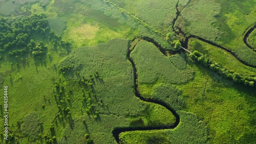 Picturesque winding river in lush wetlands from a bird's eye view. Filmed in 4k, drone video.