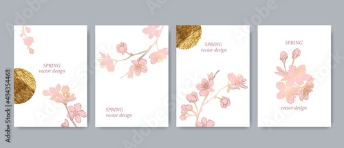 Set of spring backgrouds with sakura branch and golden circle, sun. Cherry blossoms.