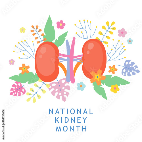 .National Kidney Month. Kidneys awareness. Health medically illustration. Human Kidney