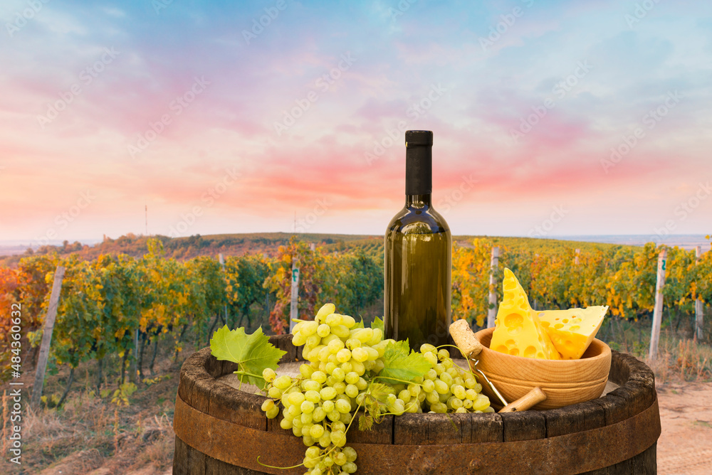 Fototapeta premium Extra wide panoramic shot of a summer vineyard shot at sunset