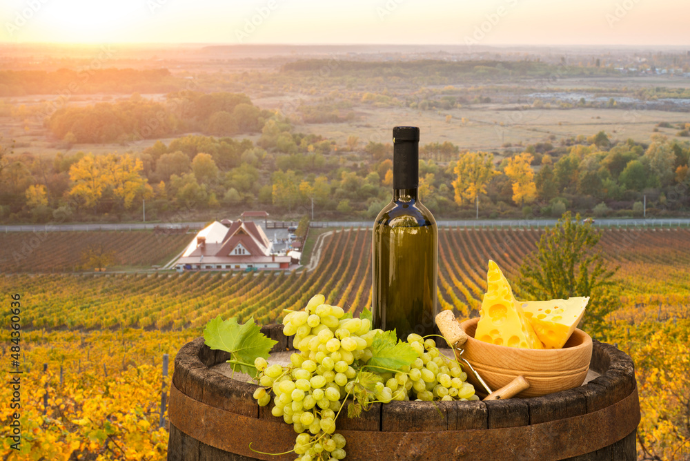 Fototapeta premium Extra wide panoramic shot of a summer vineyard shot at sunset