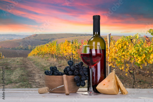 Fototapeta Naklejka Na Ścianę i Meble -  Extra wide panoramic shot of a summer vineyard shot at sunset