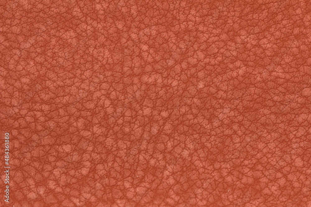 Fototapeta premium texture of genuine calfskin