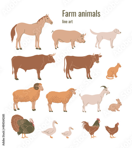 Farm animals set of horse  pig  dog  bull  cow  cat  ram  sheep  goat  rabbit  turkey  goose  duck  rooster  chicken. Colored minimalistic flat style. Vector illustration
