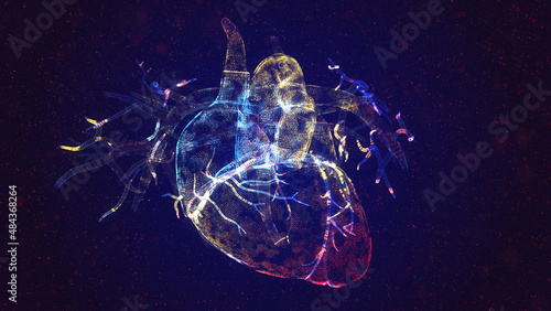 Human Heart Anatomy. Human circulatory system. Heart beat concept. Particles colorful glow mesh 3d Model. 3d illustration.
