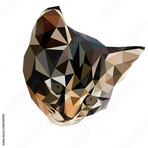 Low poly cartoon cat