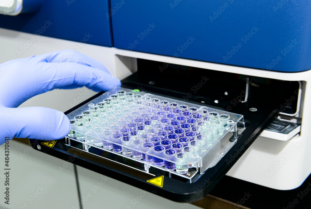 Scientist is putting 96 well micro plate into plate reader machine to