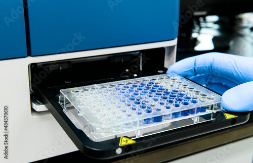 Scientist is putting 96 well micro plate into plate reader machine to measure and analyze enzyme linked immunosorbent assay(ELISA)