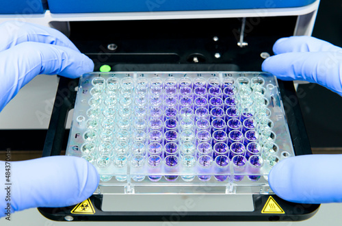 Scientist is putting 96 well micro plate into plate reader machine to measure O.D for calculating protein concentration in laboratory